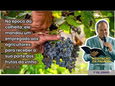 Relato De João - Carlos de Deus