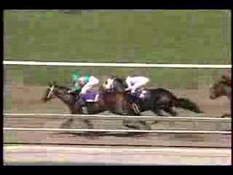 1993 Breeders' Cup Juvenile Fillies