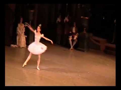 MARIA SHIRINKINA - FLORINE