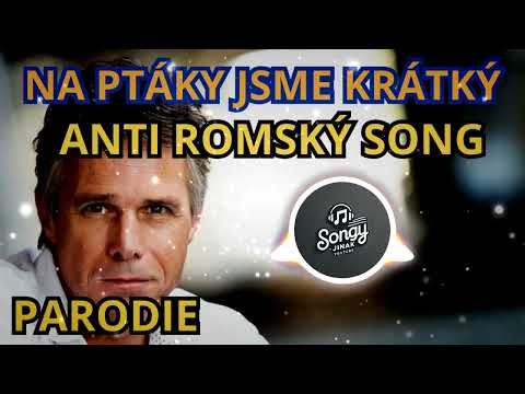 Janek Ledecký | Na ptáky jsme krátký ???? | PARODIE | SONGY JINAK