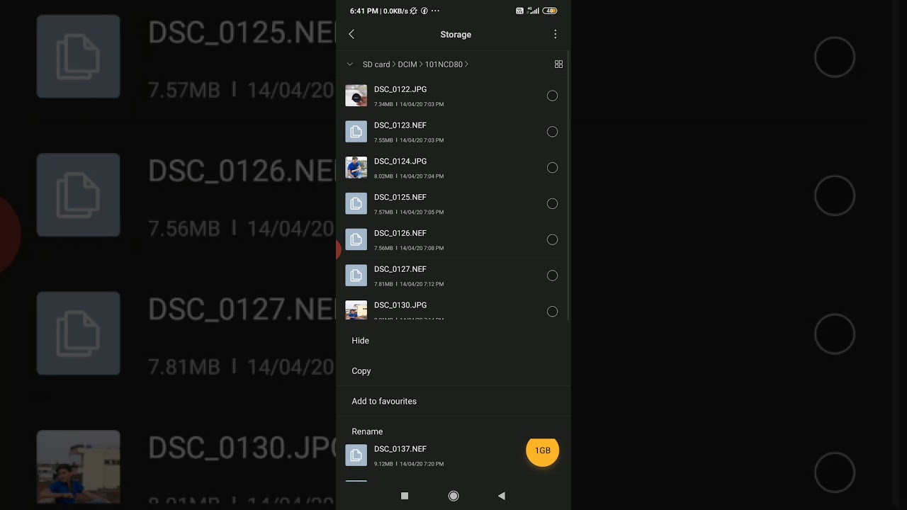 Converting NEF file to JPG