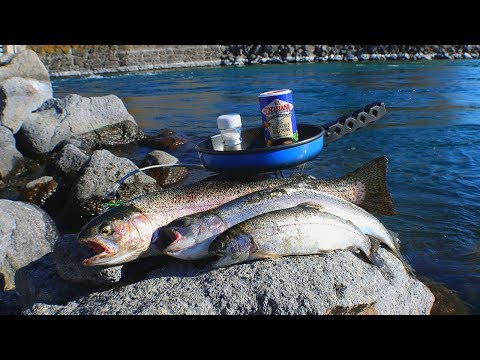 Catch and Cook Rainbow Trout (Fish Sandwiches) + First Sturgeon of the Year!