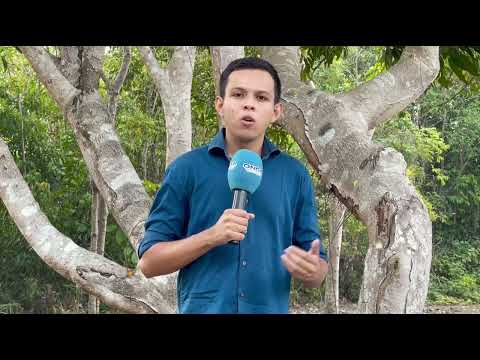 Novo recorde de queimadas foi batido nas últimas 24h