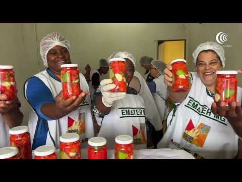 Curso de pimenta em conserva é realizado com produtores de Paula Cândido/MG