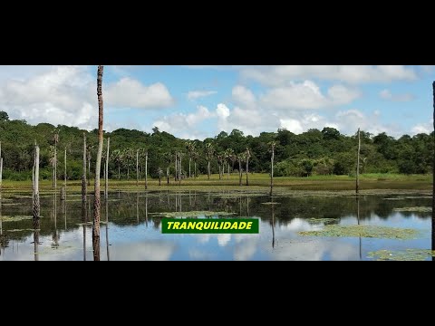 LUGAR DE RARA BELEZA NA REGIÃO DE ESPERANTINA-PI - VIDEO II
