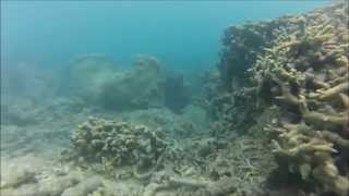 preview picture of video 'Afternoon snorkel at Blue Pearl Bay, 22/04/2014'
