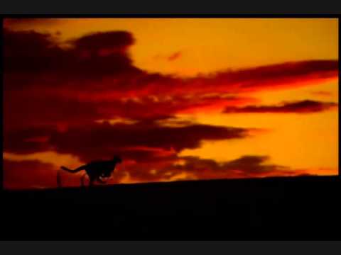 Spanish Sunset -  Flamenco
