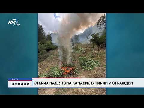 Открих над 3 тона канабис в Пирин и Огражден