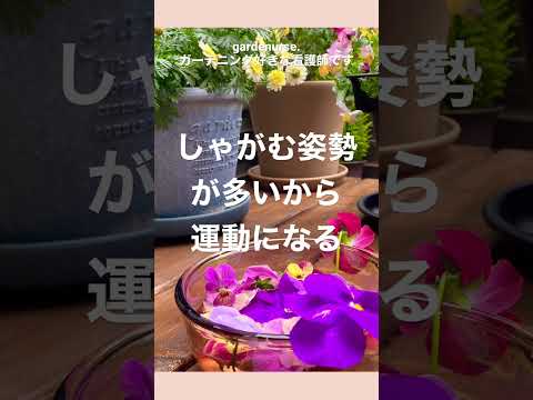 ベランダの植物が倒れるのを防ぐにはどうすればいいですか？効果的な防風アイデア6選！  庭園