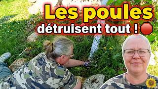 VLOG POTAGER : Les poules attaquent mes cultures ! 🐔 + Préparation des semis #maman #campagne #vlog