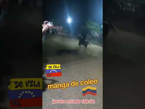 el caballo negro Antonio Aguilar jacura estado falcón