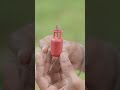 Happy Diwali Shorts Sanjoydasofficial