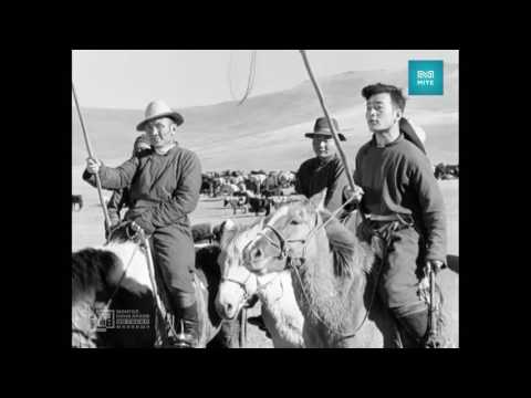 Морьтой ч болоосой / Moritoich boloosoi