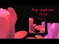 Thomas Fehlmann - In the Wind 'Pop Ambient 2010' Album