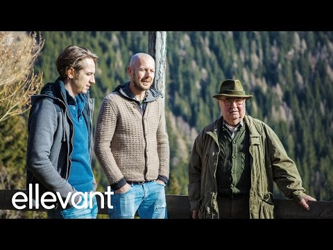 Zwei Brüder erobern Wien | Schrittesser | The Food Oracle (udPp)