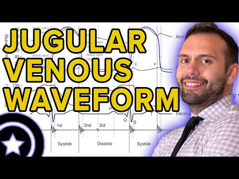 Jugular Venous Waveform | HIGH-YIELD CARDIOLOGY | USMLE STEP 1