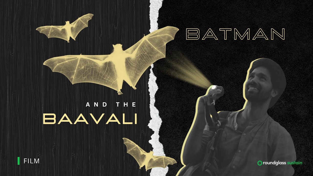 Batman and the Baavali — Bats of Bengaluru