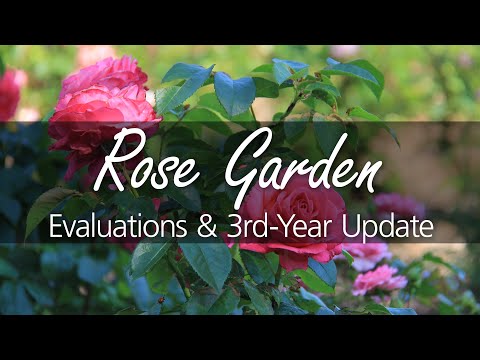 Evaluating RBG's Rose Garden