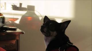 When Did You Stop Loving Me by Emma Forman