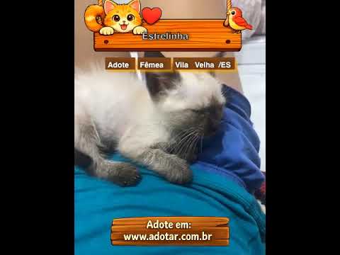 Vídeo de Estrelinha 