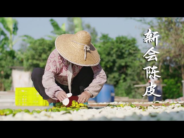 Video Pronunciation of Xinhui in English
