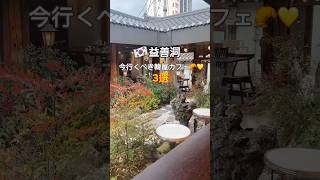 🍞益善洞おすすめカフェ3選！#韓国旅行 #韓国カフェ #韓国vlog #ソウル #益善洞