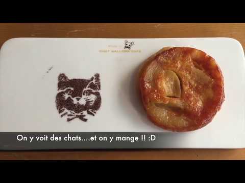 Je visite un bar à chats à Paris !