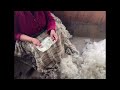 Surprise 2000 Rupees Gift To DarjeLing Tibetan Carpet House 10 8 2024