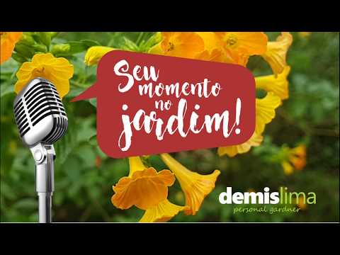 Momento no jardim: Biodiversidade  por Demis Lima
