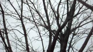 sarah lynns first file with new camera 030