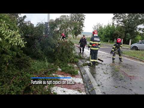 Furtunile au rupt copacii din Bacău