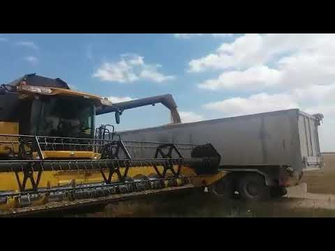 Descargando Trigo... Julio 2017.Espinosa de Cerrato