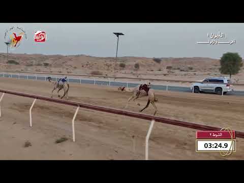  ش 2 (ريفال) لـ راشد سعيد محمد الكمده 8:11 , شارة الديوان 1 2026/09/20 حول زمول اللبسه  