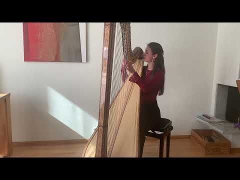 Fantasy on a theme from Eugene Onegin, Tchaikovsky (arr. Ekaterina Walter-Kühne)