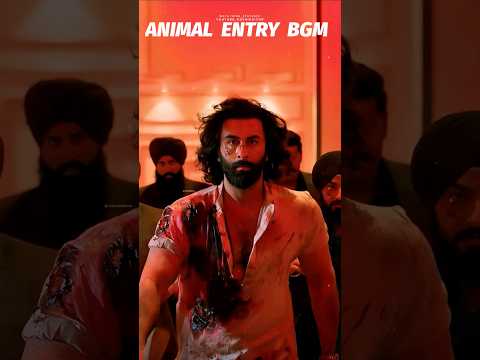 The Animal - Ranbir Kapoor Entry BGM. Status #animal #shorts