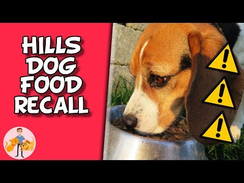 Deadly Diet - The Hills Dog Food Diet Recall - Dog Health Vet Advice