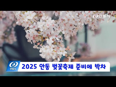 [안동 현장 리포트] 3월 19일, 2025 안동 벚꽃축제 준비에 박차