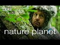 Nature Planet | Narrated by Adam Sandler