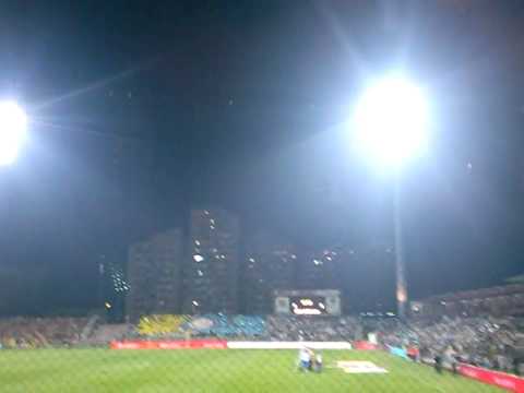 Jedna si Jedina na utakmici BiH-Belgija