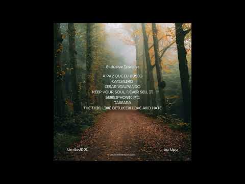 Lipp - A paz que eu busco