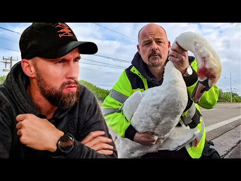 STADT BONN TÖTET SCHWAN mit FEUERWERK?! | Robert Marc Lehmann reagiert