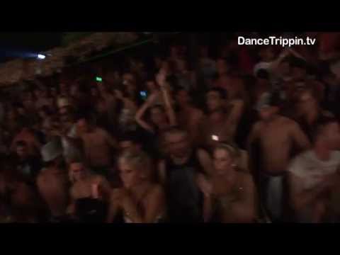 System of Survival | Zoo Project | Ibiza