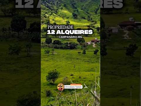 EXCELENTE PROPRIEDADE 12 ALQUEIRES REGIÃO DE CAMPANÁRIO-MG R$ 1.8 MILHÕES #luxo #gado #pecuarista