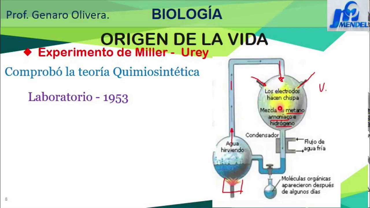 ORIGEN DE LA VIDA - TEORIAS