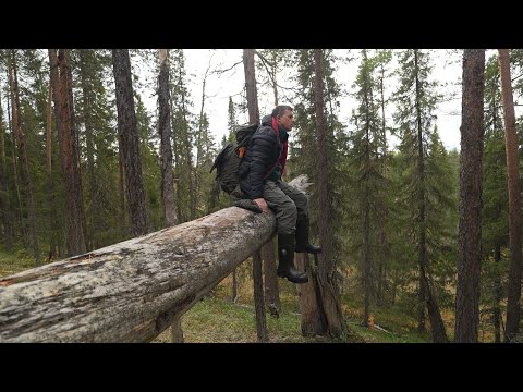 Стройка . Пеший поход на таёжную речку.