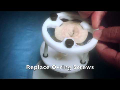 Securing the LifeLike Biotissue Mitral Valve in the Valve Holder on the Chamberlain Thorax Model