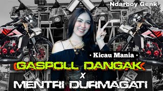 Download lagu YANG LAGI VIRAL!! DJ GASPOLL NDANGAK (KICAU MANIA) X DURMAGATI  VIRAL TIKTOK YANG KALIAN CARI mp3