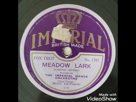 Meadow Lark / The Imperial Dance Orchestra, Vocal: Irving Kaufmann