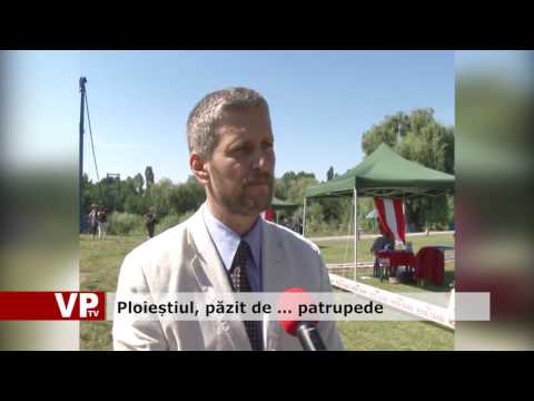 Ploieștiul, păzit de …. patrupede