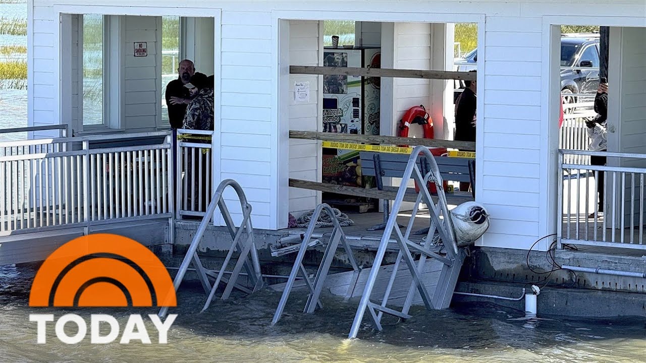 Survivor of Georgia ferry dock collapse details tragic fatal accident